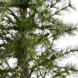 3’ Artificial Christmas Tree with 50 Clear LED Lights Set in a Burlap Base-Christmas Tree-Parc Decor