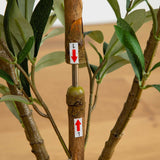 3’ Artificial Olive Tree with Natural Trunk-Tree-Parc Decor