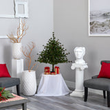 3’ Colorado Mountain Pine Artificial Christmas Tree with 50 Lights. 171 Branches and Pine Cones-Christmas Tree-Parc Decor