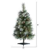 3’ Frosted Tip British Columbia Mountain Pine Artificial Christmas Tree with 50 Clear Lights, Pine Cones and 112 Bendable Branches-Christmas Tree-Parc Decor