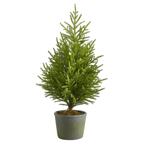 3’ Norfolk Island Pine “Natural Look” Artificial Christmas Tree in Decorative Planter-Christmas Tree-Parc Decor