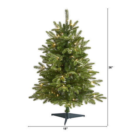 3’ Snowed Grand Teton Fir Artificial Christmas Tree with 50 Clear Lights and 111 Bendable Branches-Christmas Tree-Parc Decor