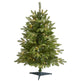 3’ Snowed Grand Teton Fir Artificial Christmas Tree with 50 Clear Lights and 111 Bendable Branches-Christmas Tree-Parc Decor