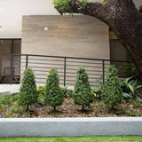 3' UV Resistant Artificial Boxwood Plant with Integrated Ground Stake (Indoor/Outdoor) - Set of 2-Plant-Parc Decor