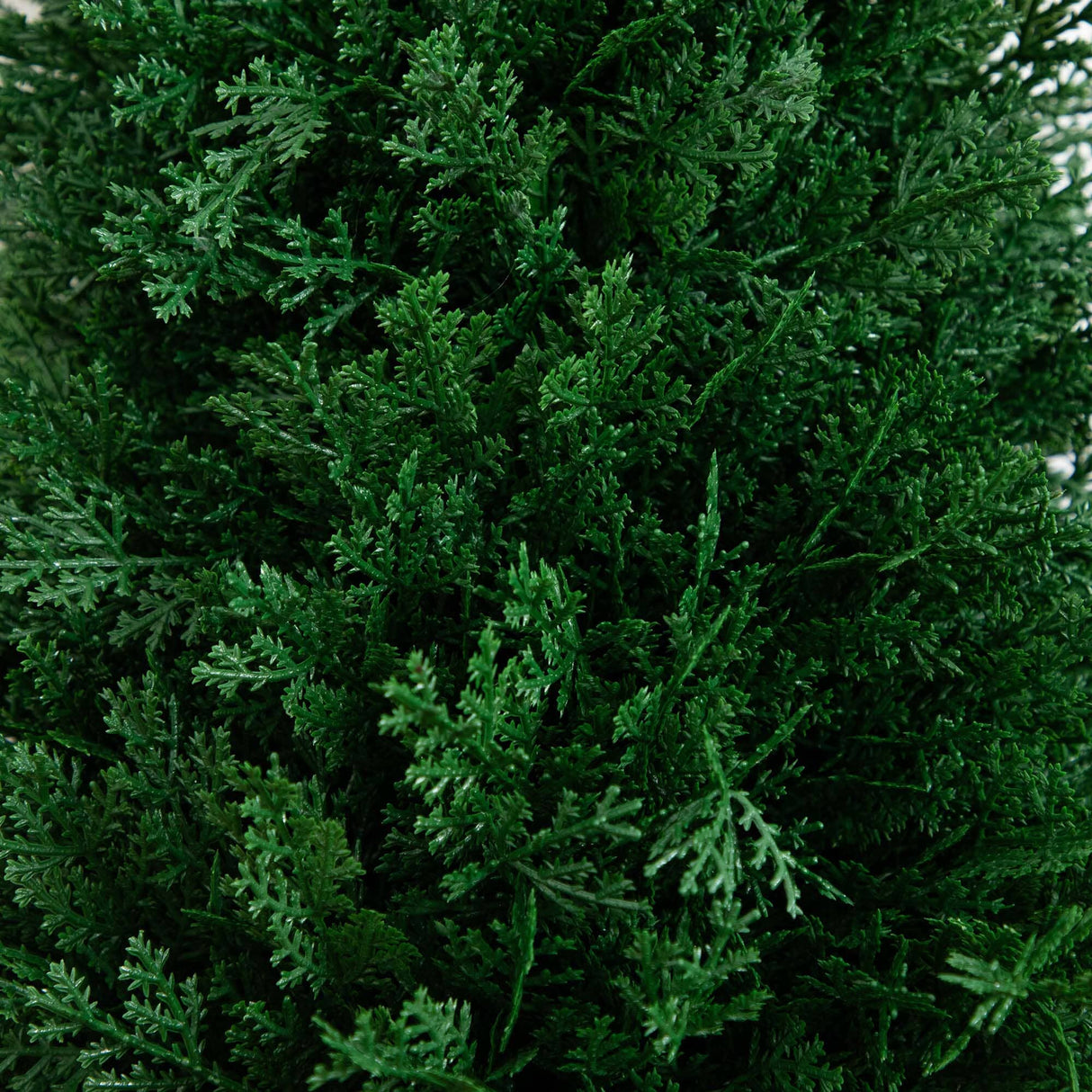 3' UV Resistant Artificial Cedar Plant with Integrated Ground Stake (Indoor/Outdoor) - Set of 2-Plant-Parc Decor