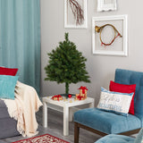 3’ Wyoming Mixed Pine Artificial Christmas Tree with 150 Clear Lights and 270 Bendable Branches-Christmas Tree-Parc Decor