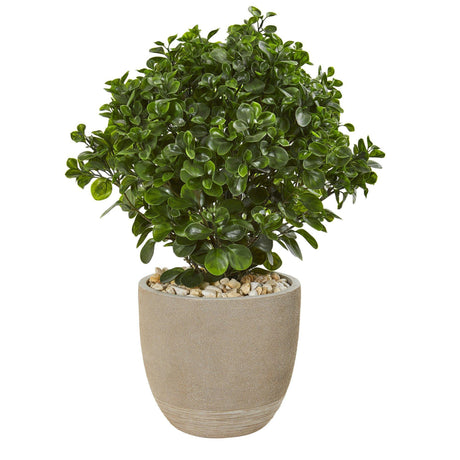 30” Peperomia Artificial Plant in Sand Stone Planter (Indoor/Outdoor)-Parc Decor
