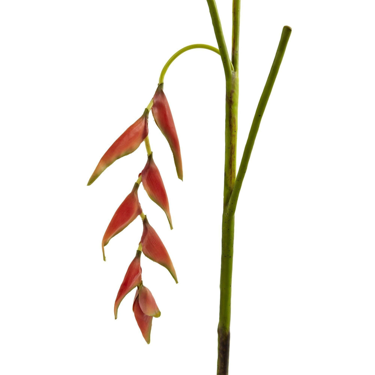31’’ Hanging Heliconia Artificial Flower (Set of 4)-Stem-Parc Decor
