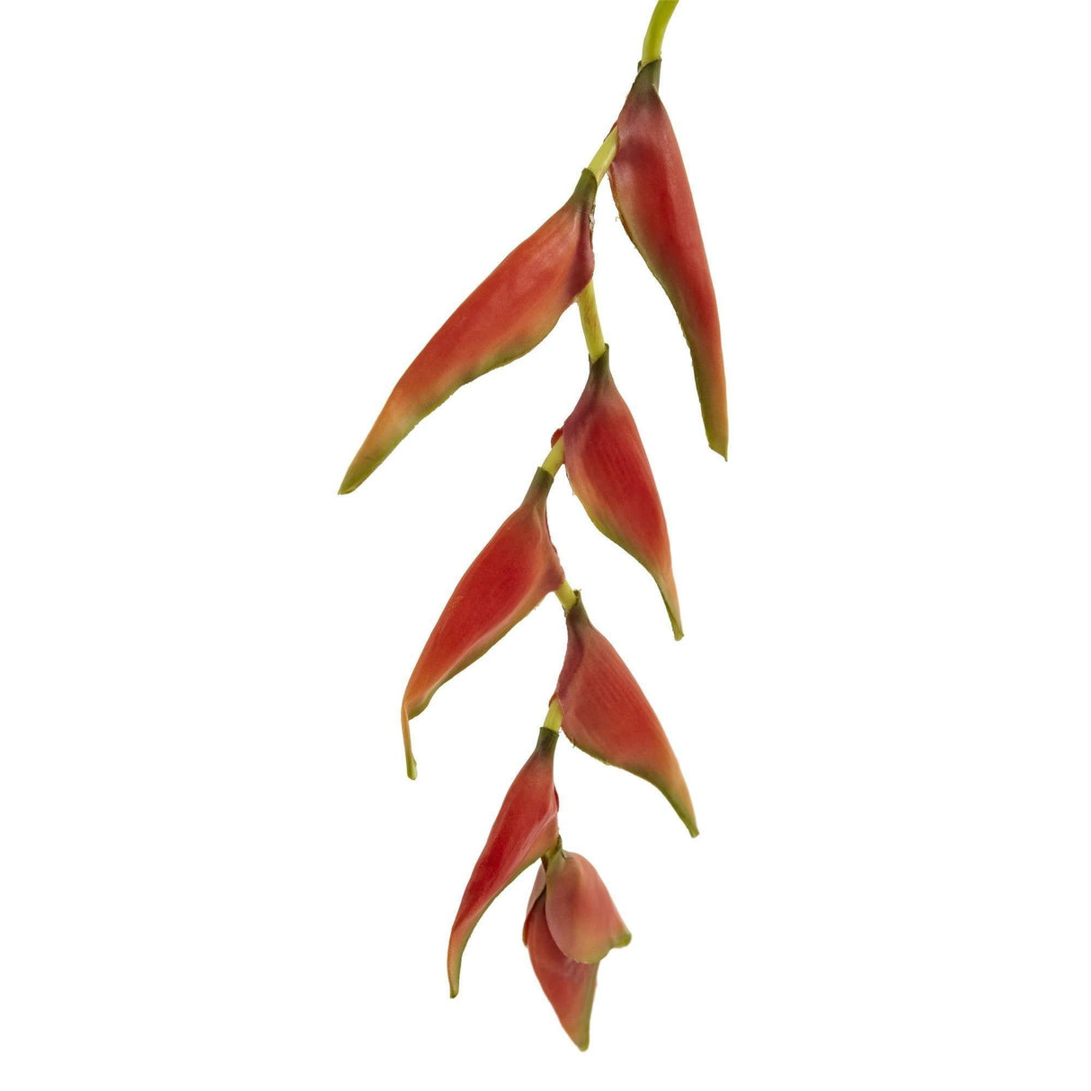 31’’ Hanging Heliconia Artificial Flower (Set of 4)-Stem-Parc Decor