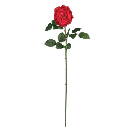 31" Large Rose Stem (Set of 12)"-Stem-Parc Decor