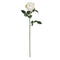 31" Large Rose Stem (Set of 12)"-Stem-Parc Decor