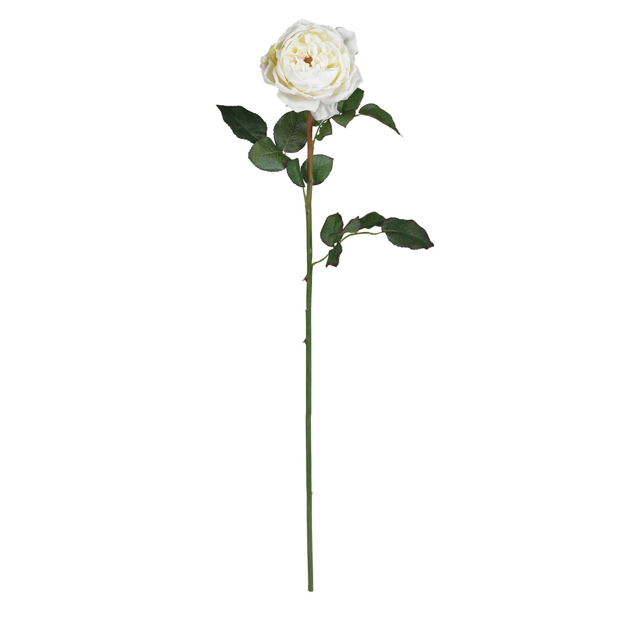 31" Large Rose Stem (Set of 12)"-Stem-Parc Decor