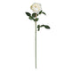 31" Large Rose Stem (Set of 12)"-Stem-Parc Decor