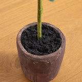 31” Olive Artificial Tree-Tree-Parc Decor