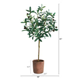 31” Olive Artificial Tree-Tree-Parc Decor