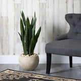 32” Sansevieria Artificial Plant in Sand Colored Planter-Parc Decor