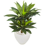 33” Double Agave Succulent Artificial Plant in White Planter-Parc Decor