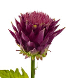 33” Tropical Artificial Flower (Set of 6)-Stem-Parc Decor