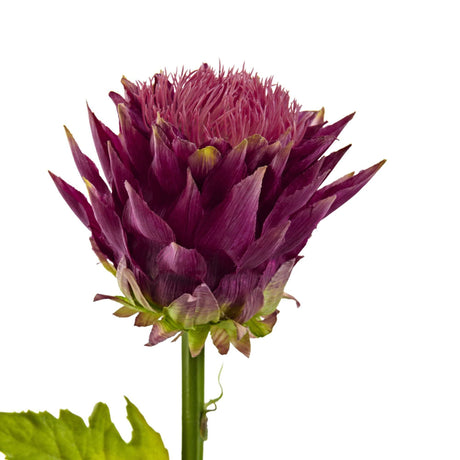 33” Tropical Artificial Flower (Set of 6)-Stem-Parc Decor