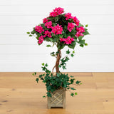 34" Bougainvillea Topiary w/Wood Box-Parc Decor