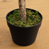 34” Olive Topiary Artificial Tree UV Resistant (Indoor/Outdoor)-Parc Decor