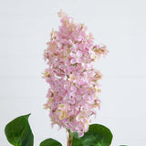 36" Artificial Lilac Flower Stems - Set of 3-Stem-Parc Decor