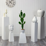 37” Cactus Artificial Plant-Parc Decor