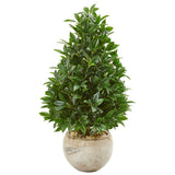38” Bay Leaf Cone Topiary Artificial Tree in Bowl Planter (Indoor/Outdoor)-Parc Decor
