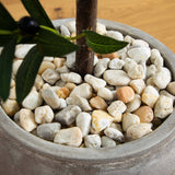 38” Olive Topiary Artificial Tree in Bowl Planter(Indoor/Outdoor)-Parc Decor