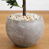 38” Olive Topiary Artificial Tree in Bowl Planter(Indoor/Outdoor)-Parc Decor