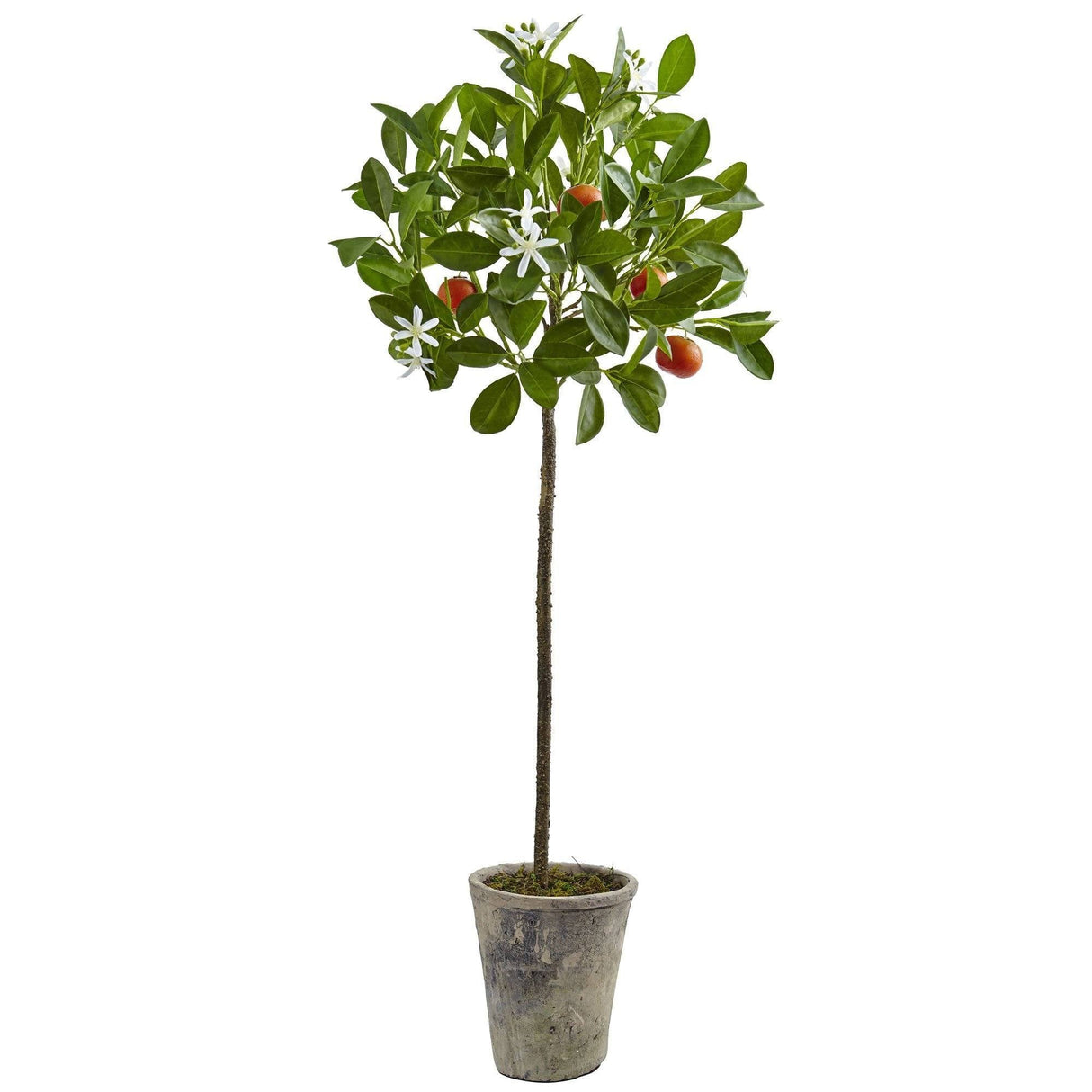 38'' Potted Orange Tree-Parc Decor