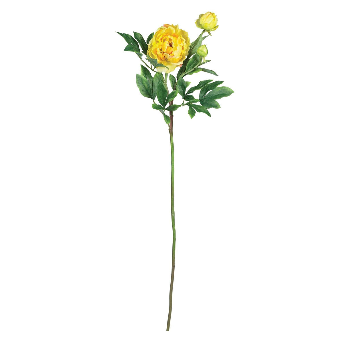 38.5" Peony w/Leaves Stem (Set of 12)"-Stem-Parc Decor