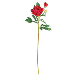 38.5" Peony w/Leaves Stem (Set of 12)"-Stem-Parc Decor
