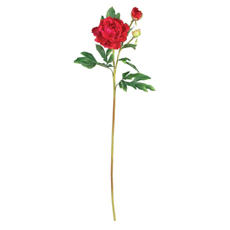 38.5" Peony w/Leaves Stem (Set of 12)"-Stem-Parc Decor