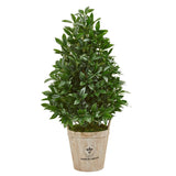 39” Bay Leaf Cone Topiary Artificial Tree in Farmhouse Planter-Parc Decor