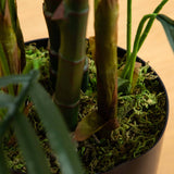 3.5' Areca Palm Tree UV Resistant (Indoor/Outdoor)-Parc Decor