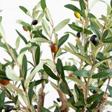 3.5’ Artificial Olive Tree-Parc Decor