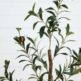 3.5’ Artificial Olive Tree-Parc Decor