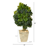 3.5’ Schefflera Artificial Tree in Country White Planter (Real Touch)-Parc Decor