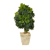 3.5’ Schefflera Artificial Tree in Country White Planter (Real Touch)-Parc Decor
