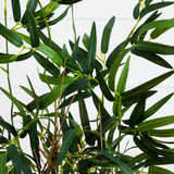 3.5' Twiggy Bamboo Tree-Parc Decor