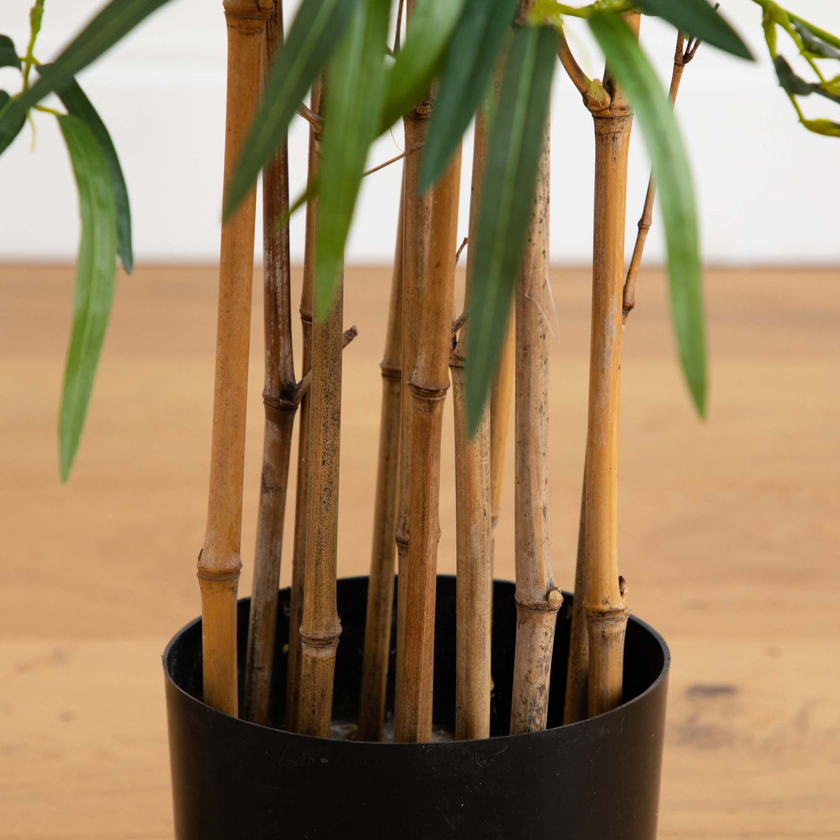 3.5' Twiggy Bamboo Tree-Parc Decor