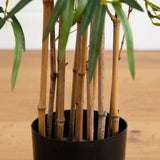 3.5' Twiggy Bamboo Tree-Parc Decor