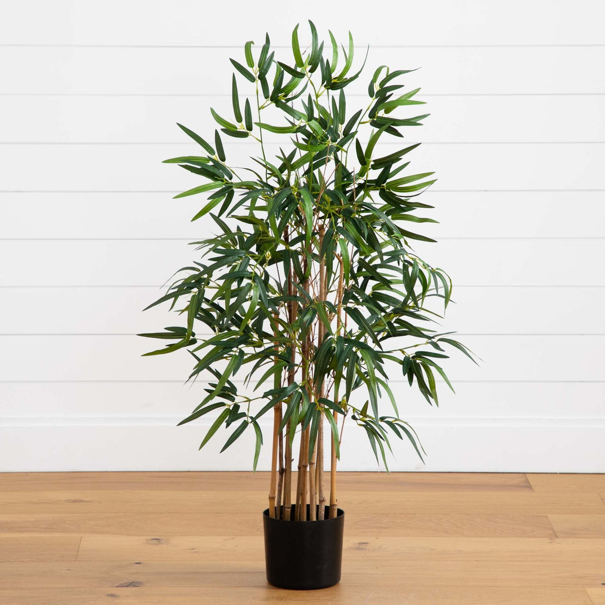 3.5' Twiggy Bamboo Tree-Parc Decor