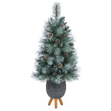 3.5’ Frosted Tip British Columbia Mountain Pine Artificial Christmas Tree-Christmas Tree-Parc Decor