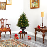 3.5’ New England Pine Artificial Christmas Tree with 50 Clear Lights and 117 Bendable Branches in Iron Colored Urn-Christmas Tree-Parc Decor