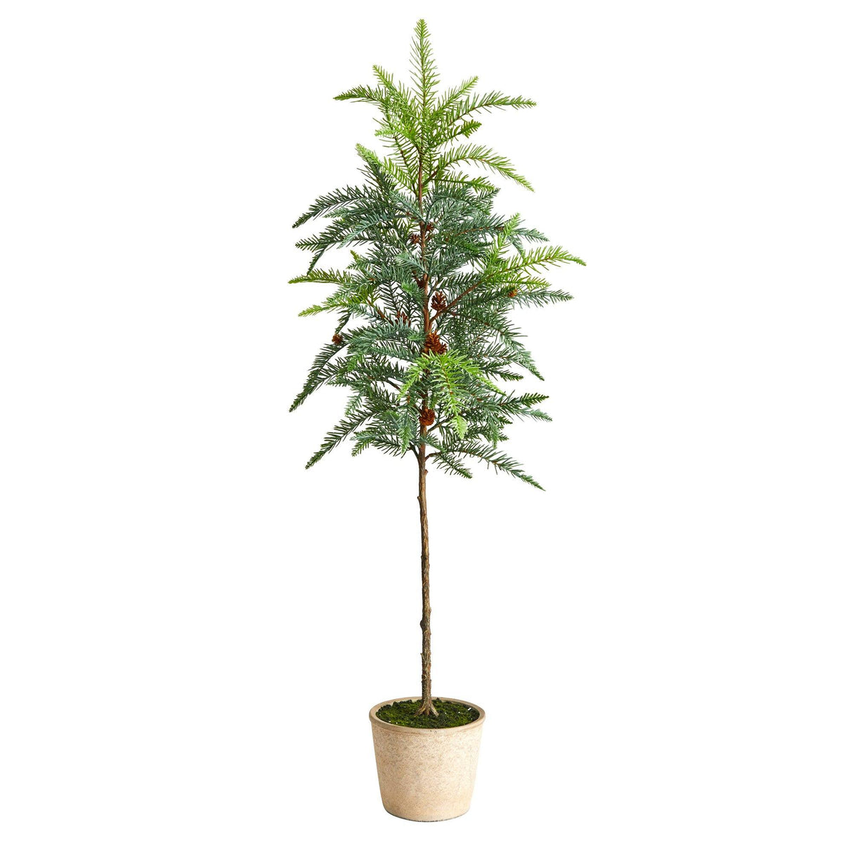 3.5' Winniepeg Artificial Pine Christmas Tree in Decorative Planter-Christmas Tree-Parc Decor