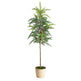 3.5' Winniepeg Artificial Pine Christmas Tree in Decorative Planter-Christmas Tree-Parc Decor