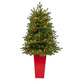 3.5’ Yukon Mountain Fir Artificial Christmas Tree with 50 Clear Lights and Pine Cones in Red Planter-Christmas Tree-Parc Decor