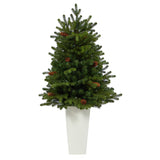 3.5’ Yukon Mountain Fir Artificial Christmas Tree with 50 Clear Lights and Pine Cones in White Planter-Christmas Tree-Parc Decor